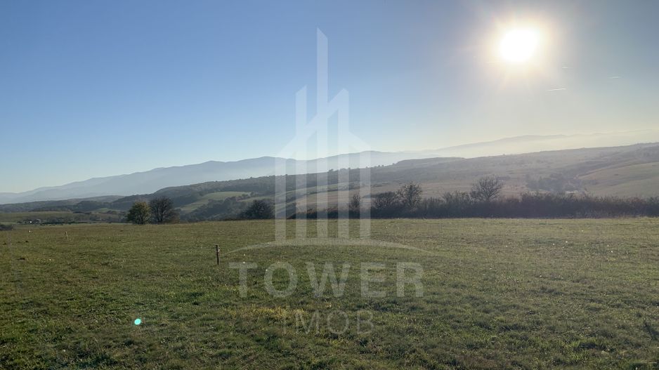 Teren pentru constructie cabana in Dealul Daii-parcele de 650 mp - Poză 3