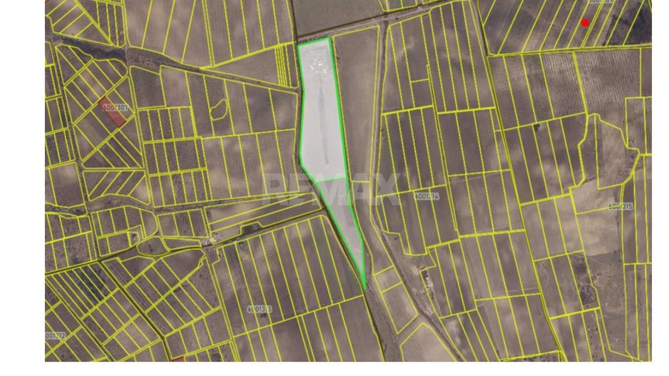Teren agricol de vânzare – 6,8 hectare cu lac propriu și casă, Nisporeni - Poză 8