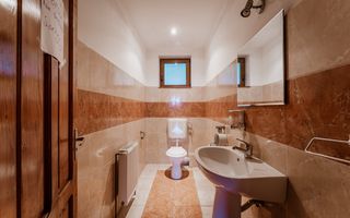 Domeniu în satul Căprioara - Poză 34