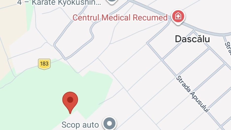 Teren intravilan 9800 mp - Dascalu - locuinte individuale - Poză 3