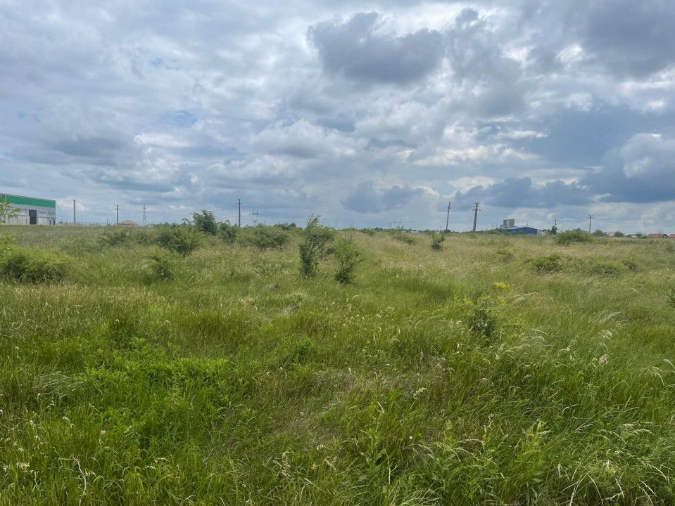 AZURA Imobiliare Pitesti - Teren de Vanzare Albota - Poză 5