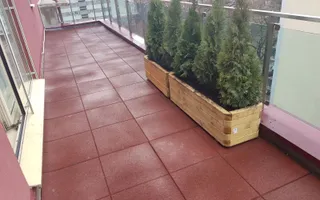 Luxury Penthouse for Rent - Poză 17