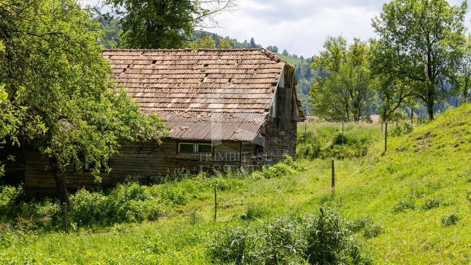 Moieciu de Jos |Teren 11.381 mp | Panoramă, potențial turistic - Poză 7