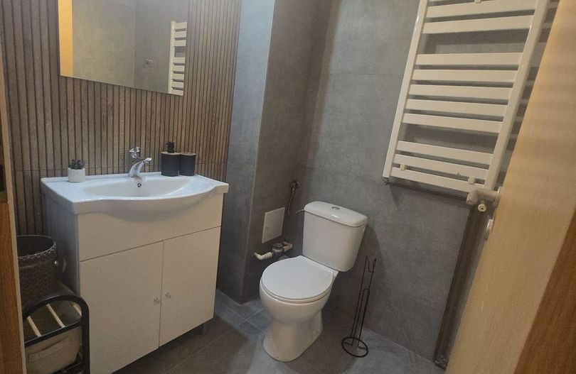 Garsoniera Floreasca | Tei - Poză 4