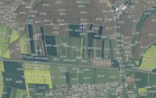 COMISION 0% Terenuri agricole 10.750mp si 700mp| Recas - Poză 4