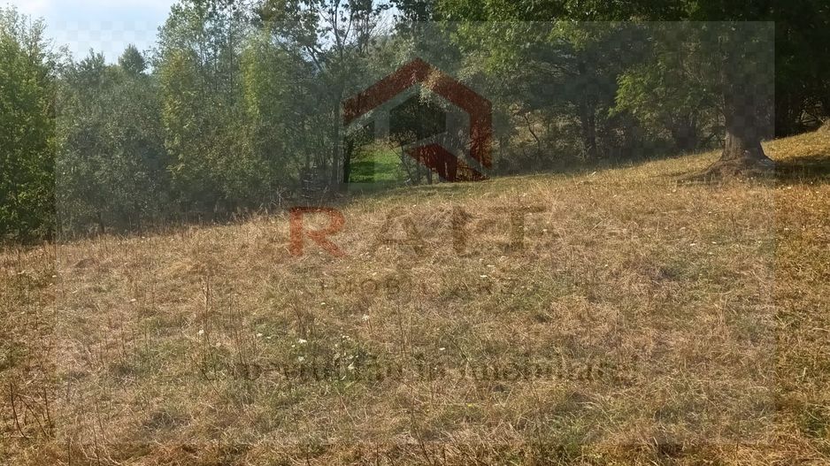 Teren de vanzare Coebeni-Turburea-Arges - Poză 3