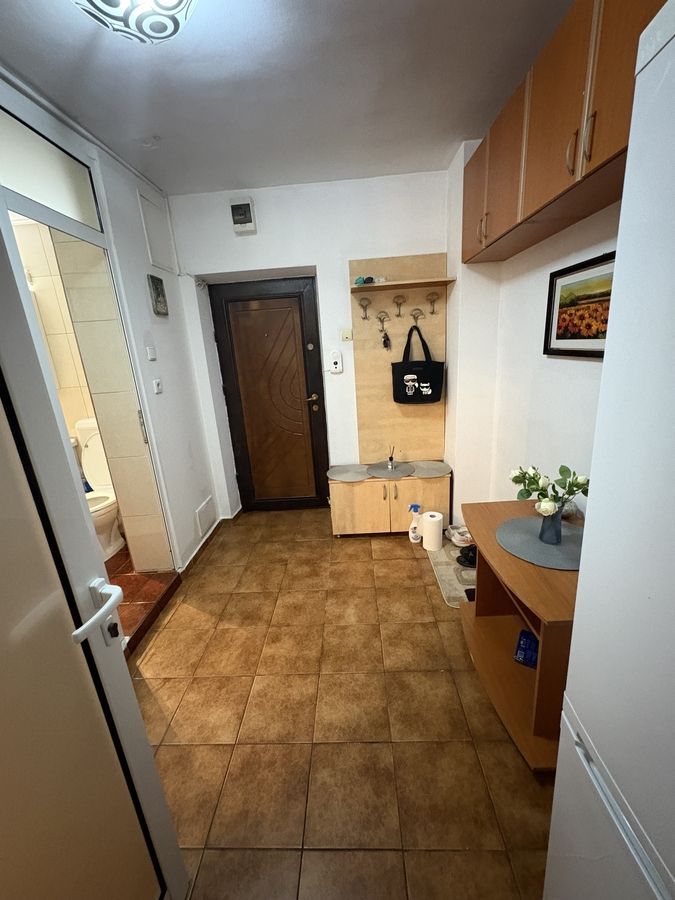 Garsonieră spațioasă, 40 mp, etaj 2, zona Câmpia Libertății - Poză 7