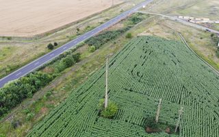 Vand Teren Extravilan Becicherecu Mic(zona industriala) 18.000mp,Utilitati - Poză 3