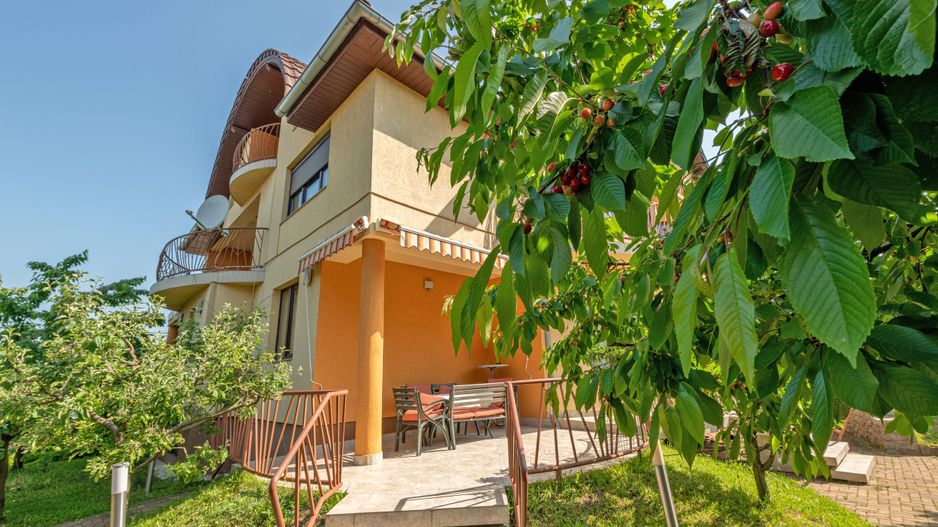 Spațiu birouri în vilă, Zorilor - Poză 3