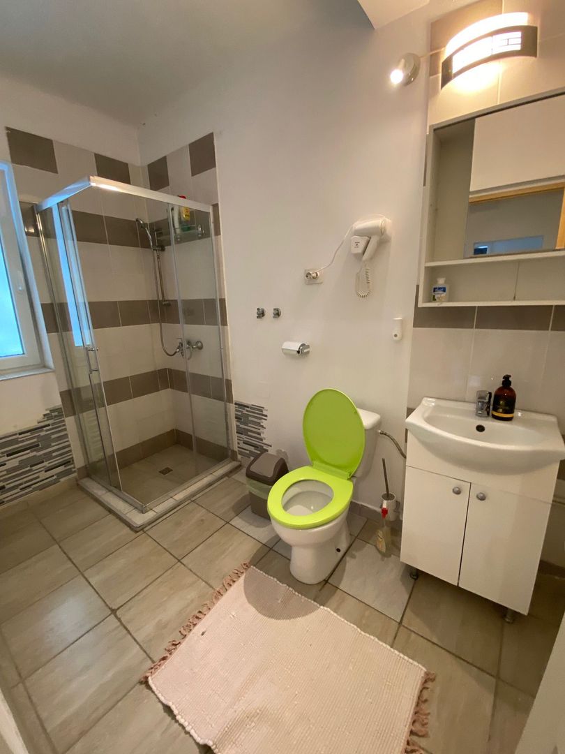 Casa zona Lipovei - Poză 14