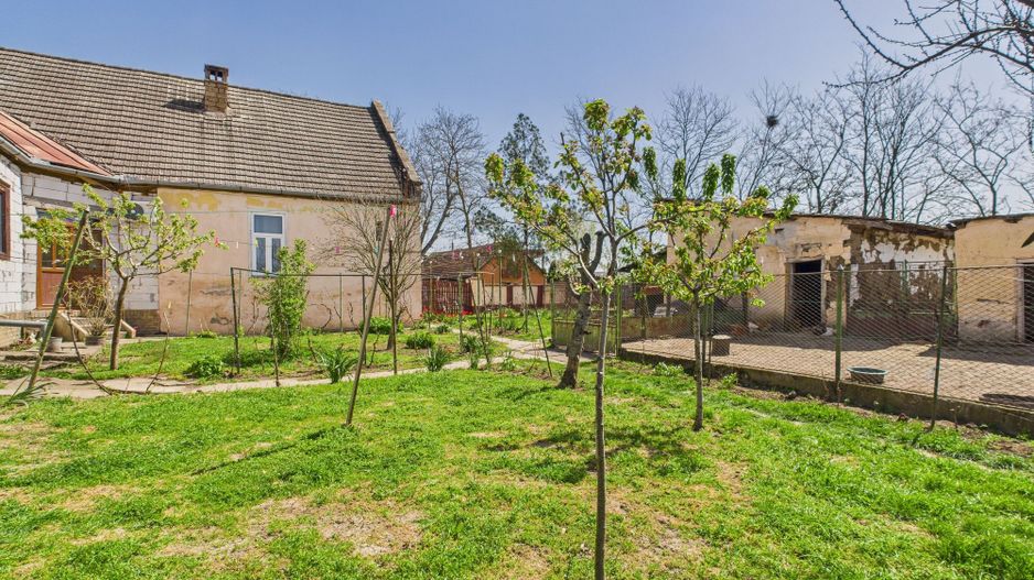 Casă cu Grădină Mare la 30 km de Timișoara - Poză 15