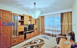 Vanzare apartament 3 camere, Banat - Poză 12