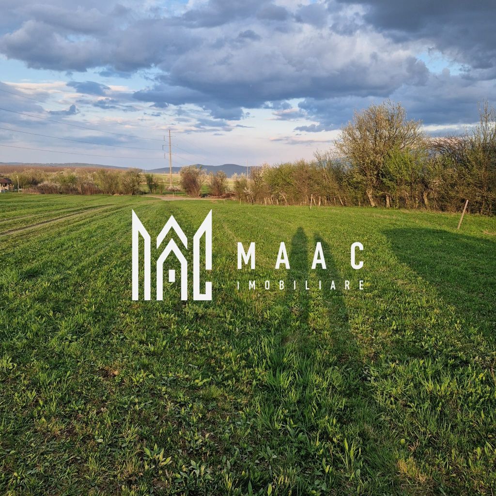 Teren | Extravilan | 3404 MP | Sadu | Oportunitate Investiții - Poză 3