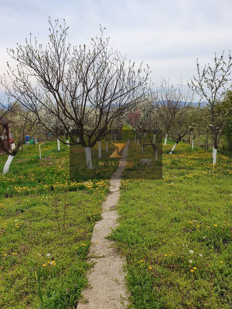 Teren Intravilan pe str Fagetului - Poză 3