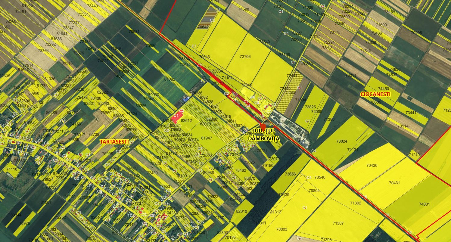 Teren extravilan agricol Tartasesti - Poză 2