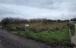 Teren Aleea Viilor Adunatii Copaceni