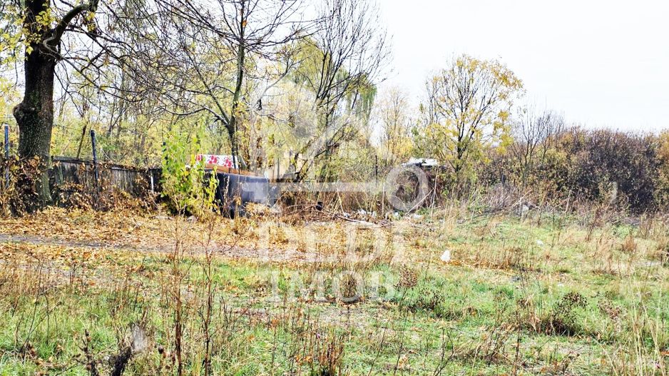 Casa de vanzare cu teren de 1532 mp in satul Berini, Timis - Poză 8