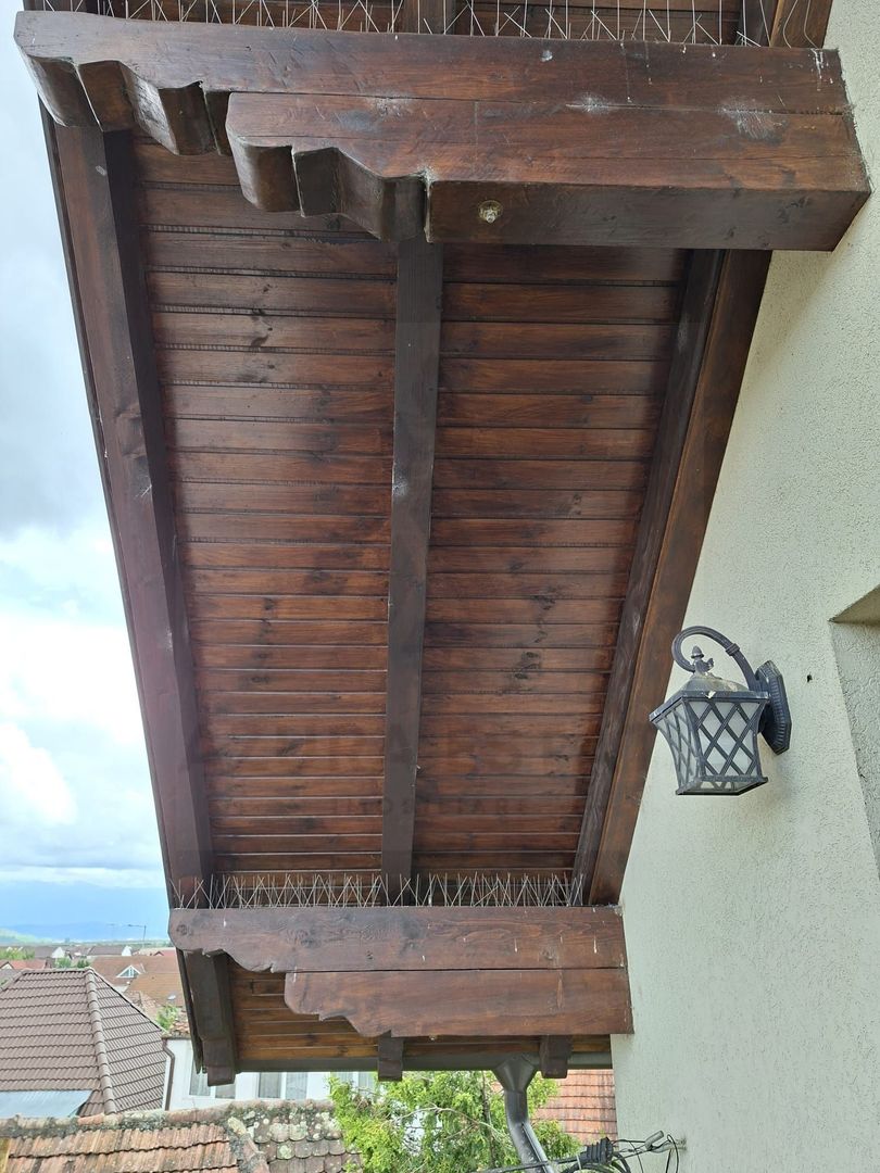 Casa individuala 149 mp utili S+P+M cu pivnita si pod in Selimbar - Poză 12
