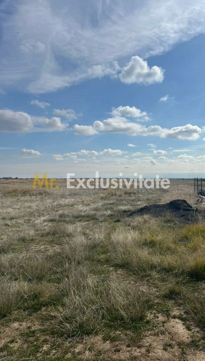 Teren 10000 mp - Albota Papillon, zona industriala in plina dezvoltare - Poză 2