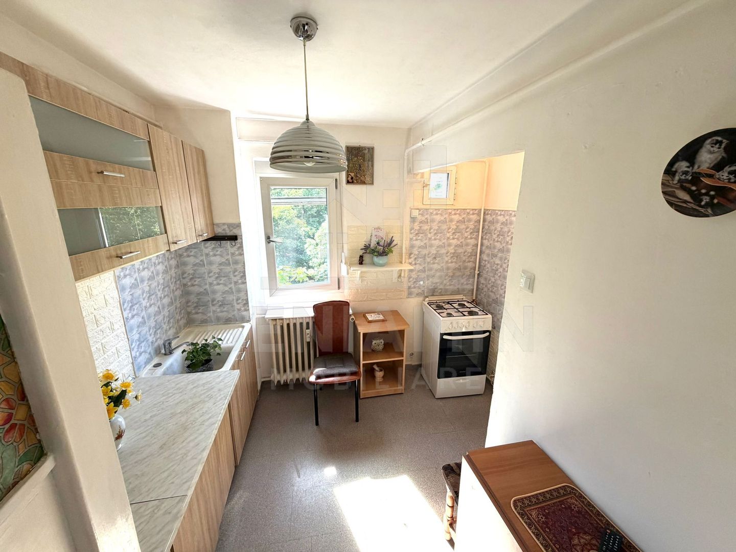 2 camere semidecomandat Brazda lui Novac - Pedagogic -teava -52mp - Poză 5