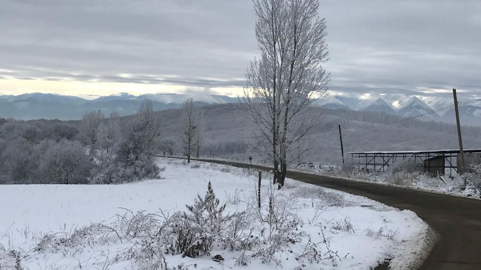 Ferma cu teren de 200 hectare - Poză 5