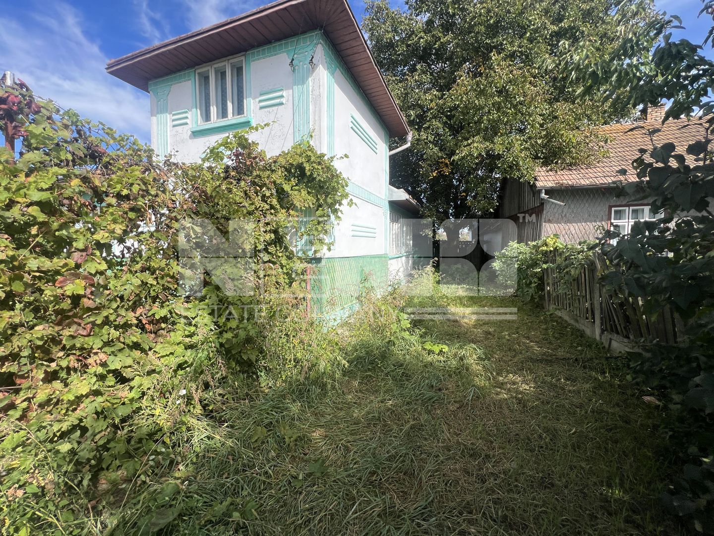 Casa Dornesti | 13 Ari | 69.500 EURO - Poză 1