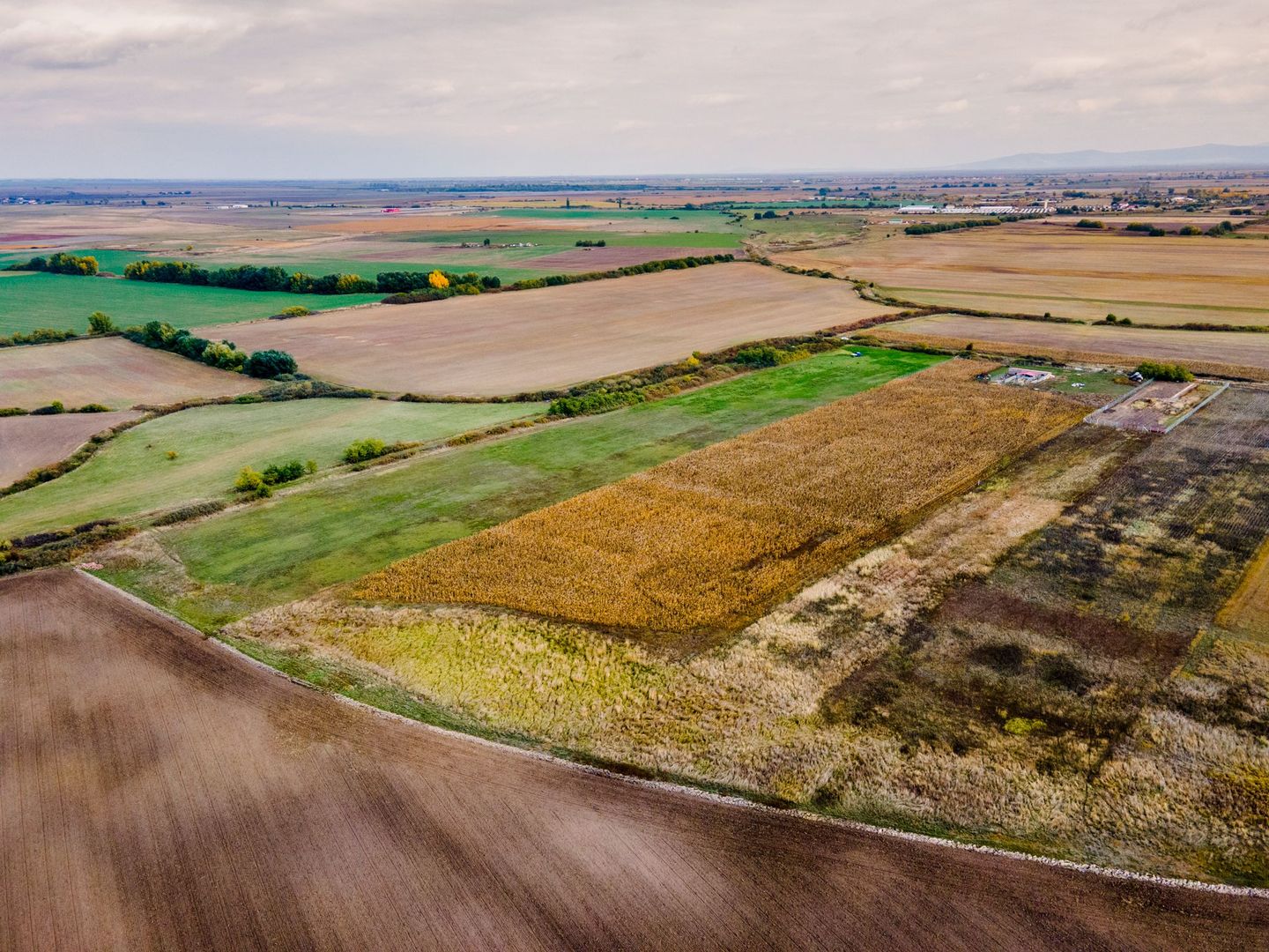 Teren arabil pe Strada Câmpurilor - Poză 8