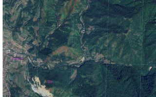 Teren pădure 64000 mp Pietroasa spre Boga - Poză 2
