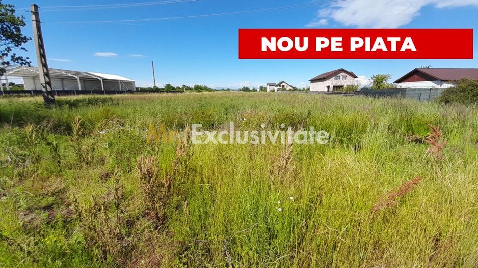 Teren intravilan Bradu 1312 mp 2 deschideri - Poză 1