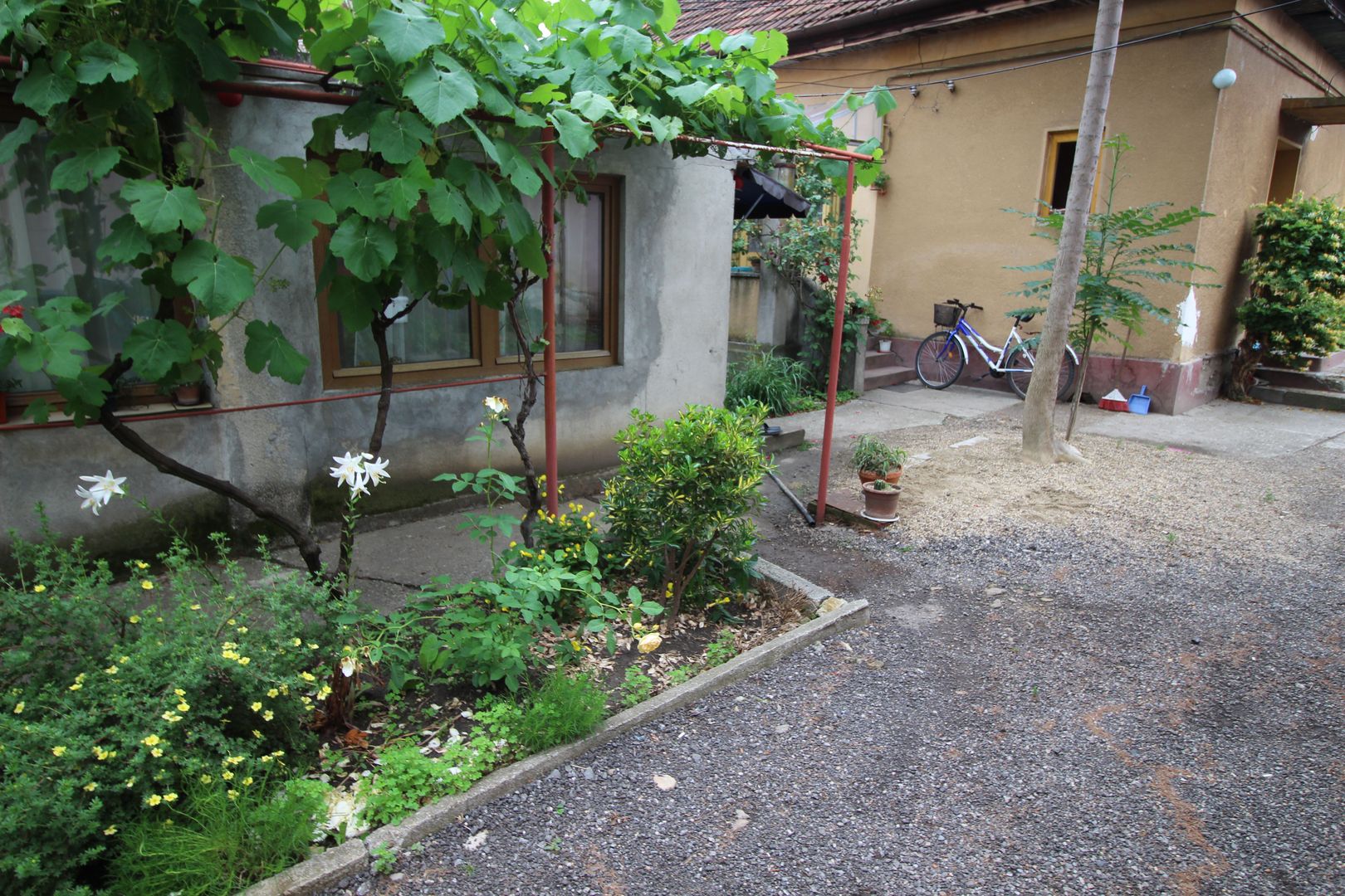 CASA CU TEREN MARE IN ZONA MEHALA - Poză 2