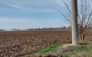 Teren 5,000mp Moara Vlasiei / Strada Morii - Poză 3