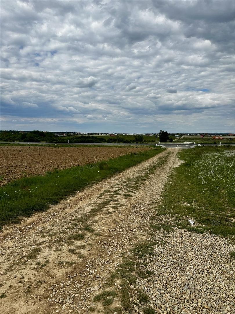 Teren Intravilan Inel Metropolitan - Poză 2