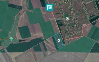 Teren de 8600 Mp2, agricol extravilan, Mailat - Poză 3