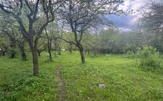 TEREN INTRAVILAN 7018 MP CAMPULUNG - Poză 16