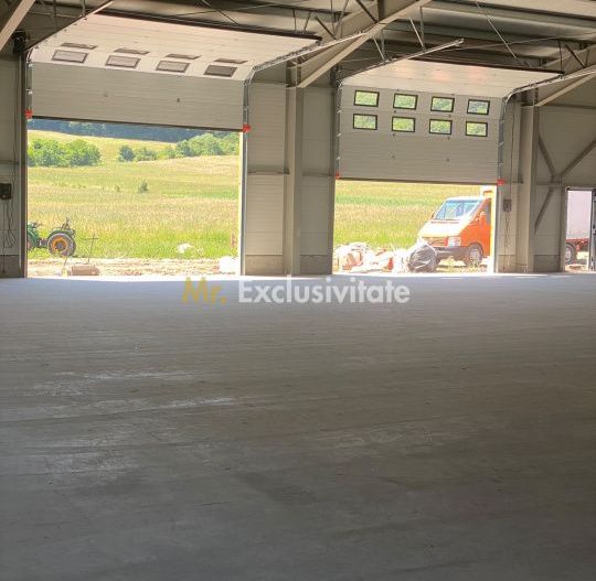 Hala industriala de vanzare-GILAU/ 1 km distanta pana la autostrada - Poză 3