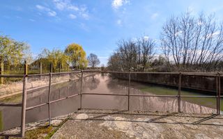 Teren intravilan Balint 22.500 mp - Poză 8