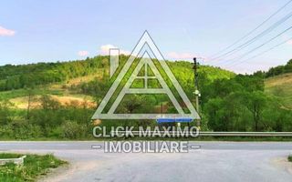 25.000 mp TEREN Ciucea – Calea Lata, jud. Cluj - Poză 8