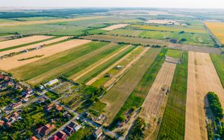 50 ha teren compact în Bujac - Poză 9