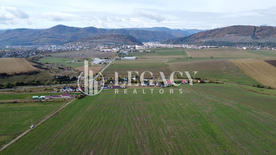 Teren intravilan 10.000 mp Gârcina lângă Sala Polivalenta Piatra Neamț - Poză 6