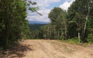 Teren zona montana in com.Turcinesti Jud.Gorj - Poză 6