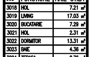 Apartament A09 cu 2 Cam  Et.2/3  Bl.Nou str.Ostroveni - Poză 8