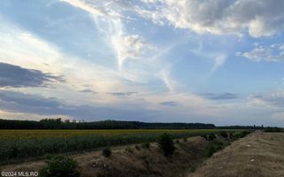 Tamasi, langa padure, 12.824 mp, deschidere 45 ml, teren cu potential - Poză 7