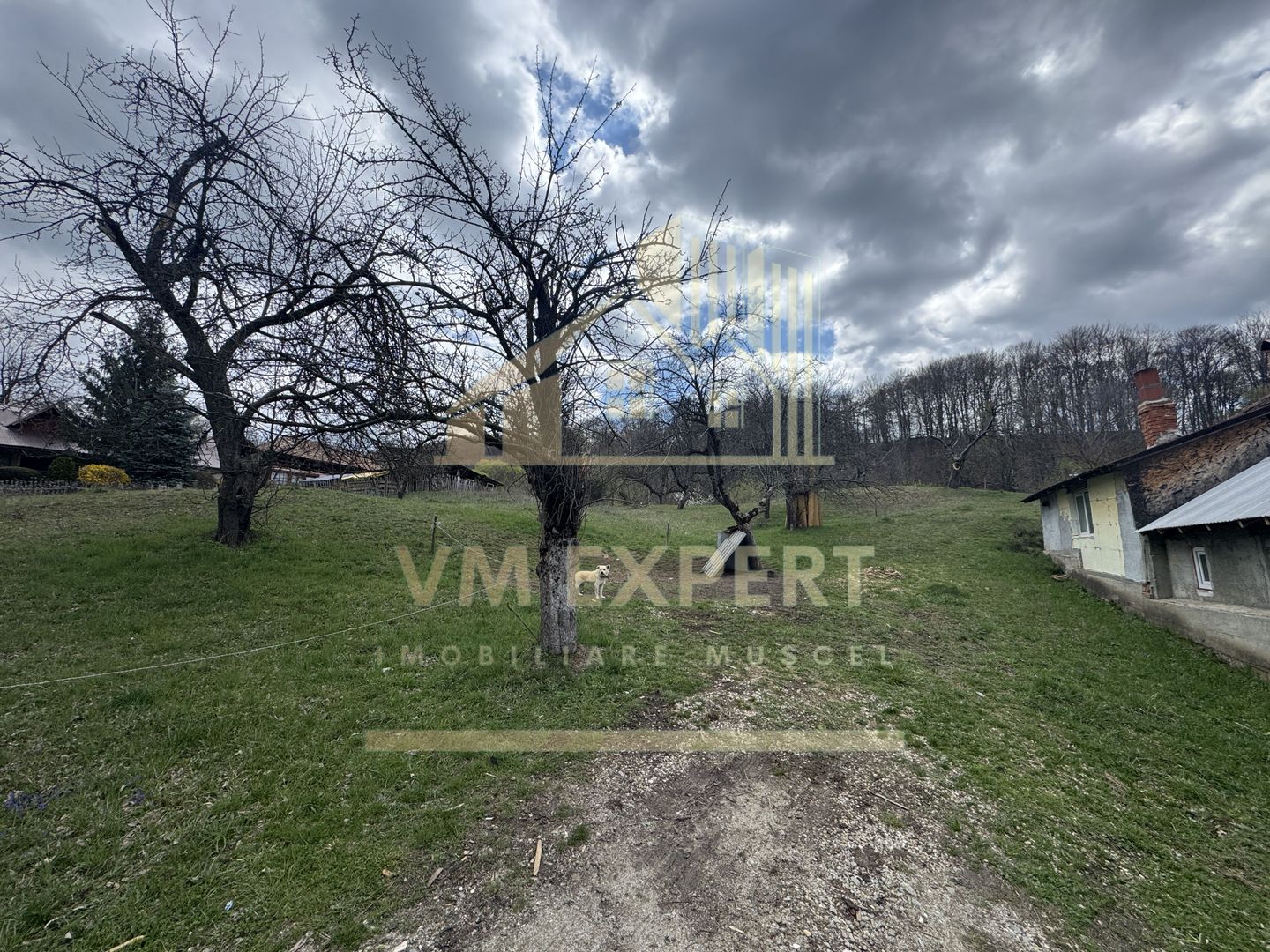 TEREN INTRAVILAN 4365 MP POENARII DE MUȘCEL  JUDEȚUL ARGES - Poză 6