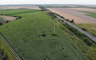 Vand Teren Extravilan Becicherecu Mic(zona industriala) 18.000mp,Utilitati - Poză 2