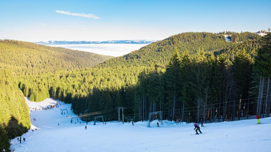 Teren 4,46 ha pentru resort / cabane – Vatra Dornei, intravilan + extr - Poză 5