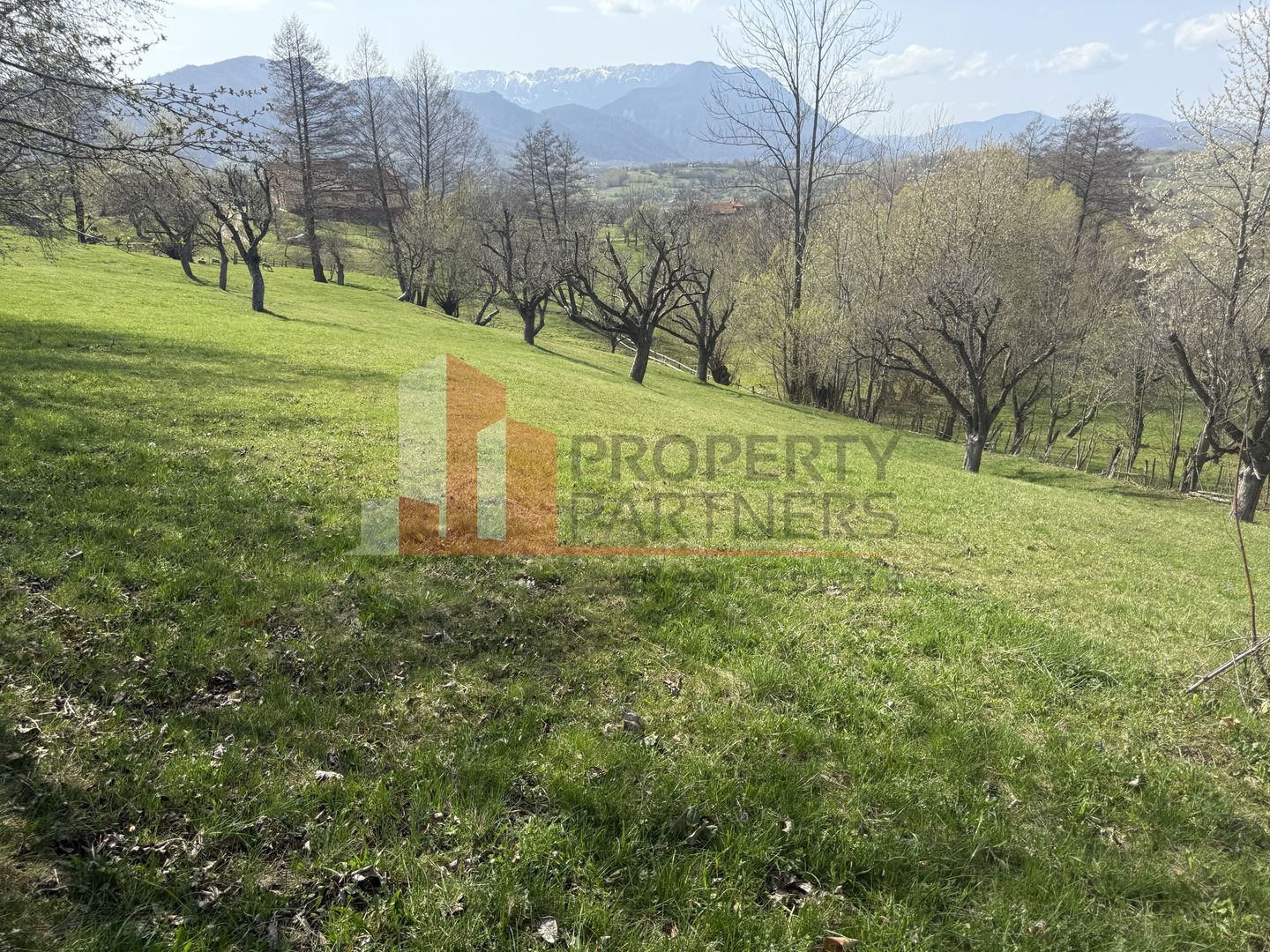 Teren de vânzare în Sohodol, comuna Bran – 4.289 mp - Poză 2