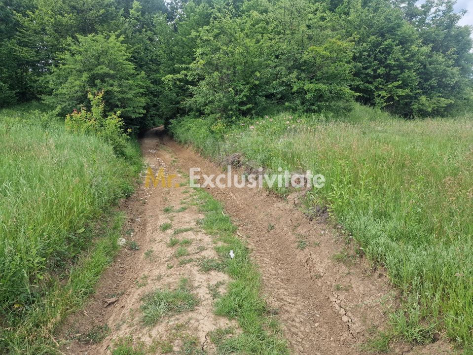 Teren extravilan str Balotesti! - Poză 4