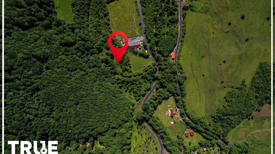 Teren intravilan 2.800 m² în Câmpu Cetății – liniște și natură - Poză 20