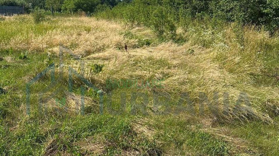 Casă tradițională cu anexă, beci și teren de 5700 mp, deschidere la drum principal, învecinată cu pădurea Bârnova, localitatea Pădureni, com. Grajduri, la 19 km de Iași - Poză 2