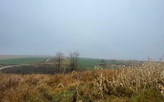 TEREN EXTRAVILAN | DOUA PARCELE 2.84 HA| IDEAL AGRICOL | DARMANESTI - Poză 4